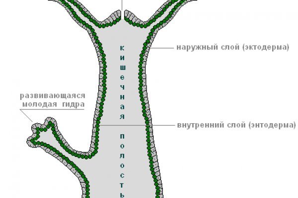 Kra cc сайт