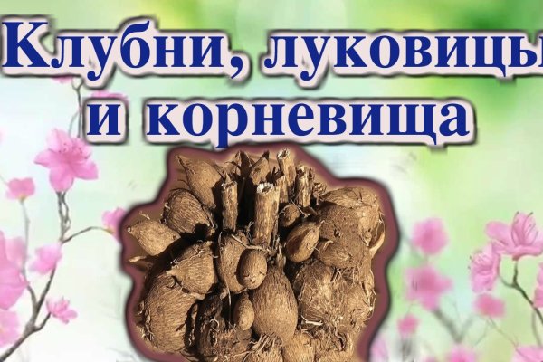 Кракен через тор