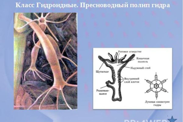 Кракен даркнет ссылка