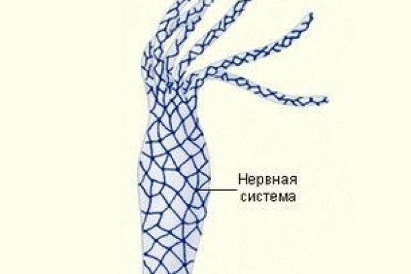 Кракен это даркнет