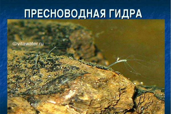 Ссылки на даркнет сайты